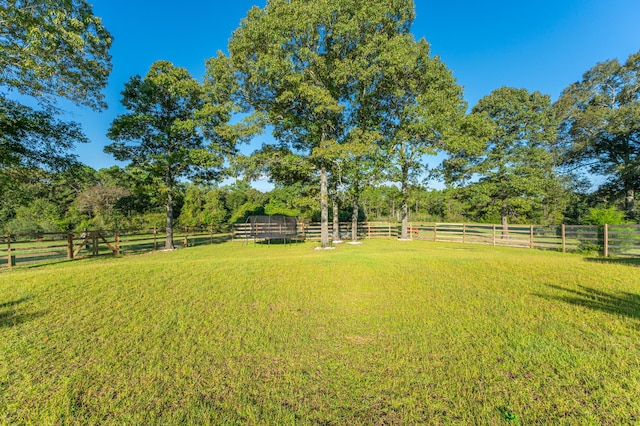 view of yard with a rural view