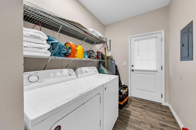 clothes washing area featuring washer and dryer, dark hardwood / wood-style flooring, and electric panel