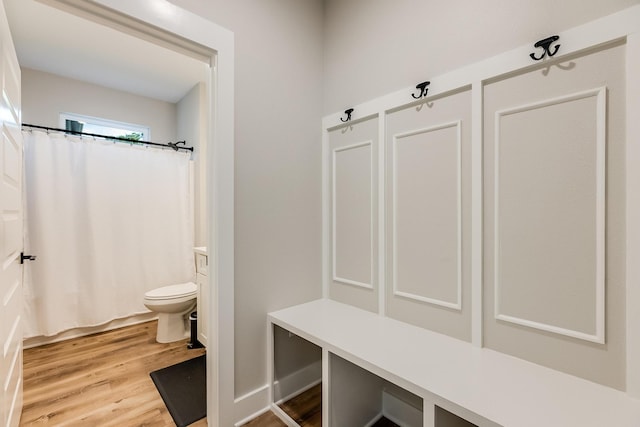 mudroom featuring hardwood / wood-style flooring