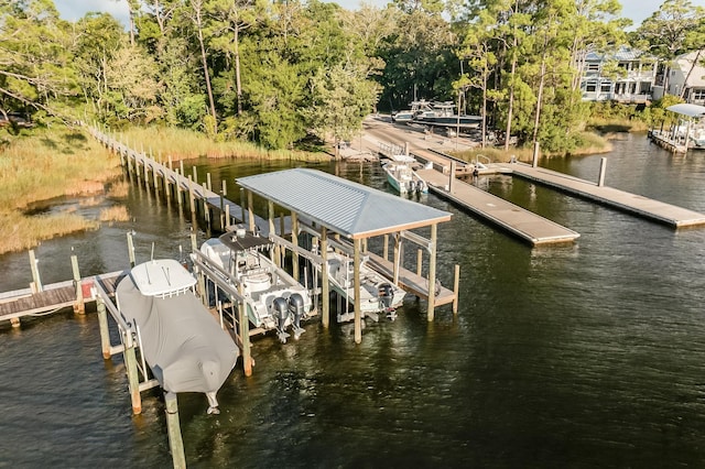 dock area with a water view