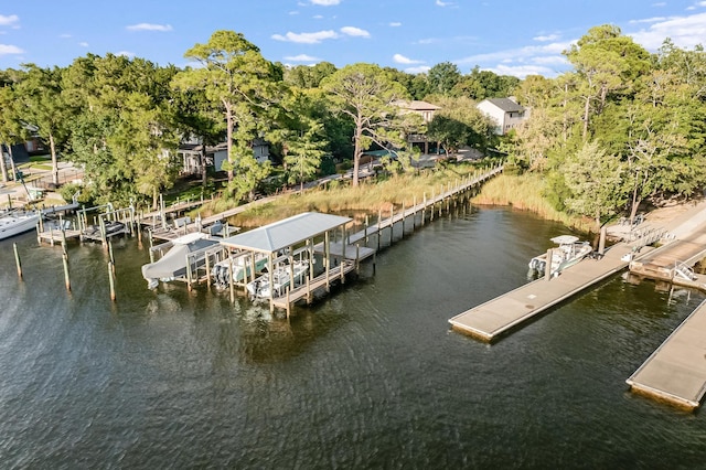 dock area featuring a water view