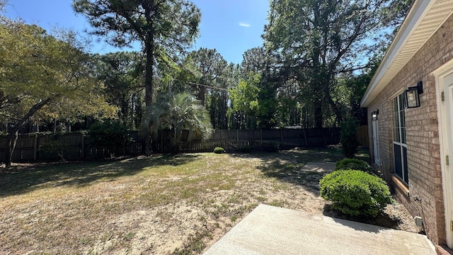 view of yard featuring a patio