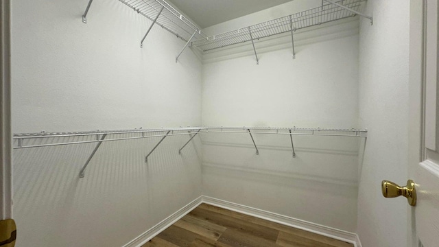 walk in closet featuring wood-type flooring