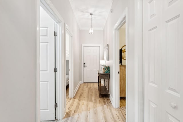 corridor featuring ornamental molding and light hardwood / wood-style flooring