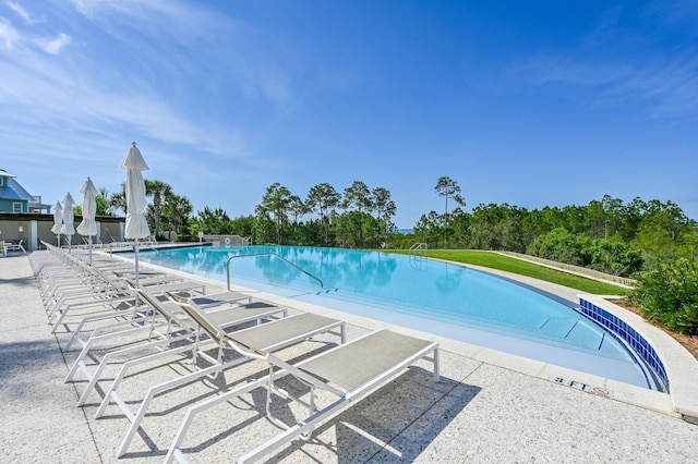 view of pool featuring a patio area