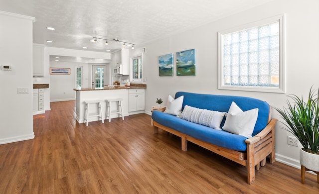 living room featuring light wood-style flooring, recessed lighting, baseboards, and a textured ceiling