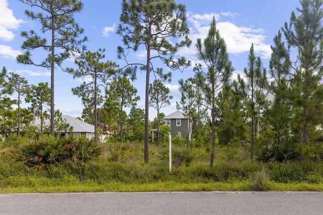 Listing photo 3 for 224 Plantation Cir Lot 58, Santa Rosa Beach FL 32459