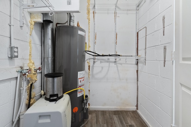 utility room with gas water heater