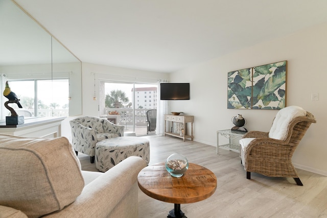 living room with light hardwood / wood-style floors