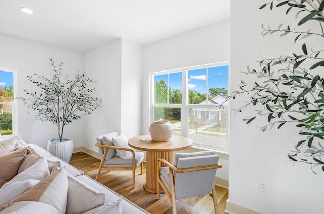 dining room featuring plenty of natural light and wood-type flooring