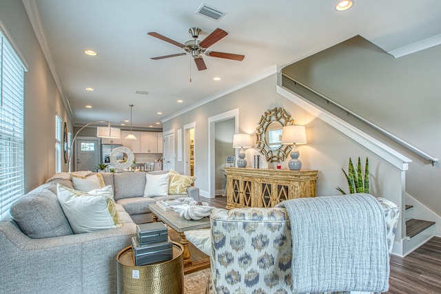 living room with ceiling fan, wood-type flooring, and ornamental molding