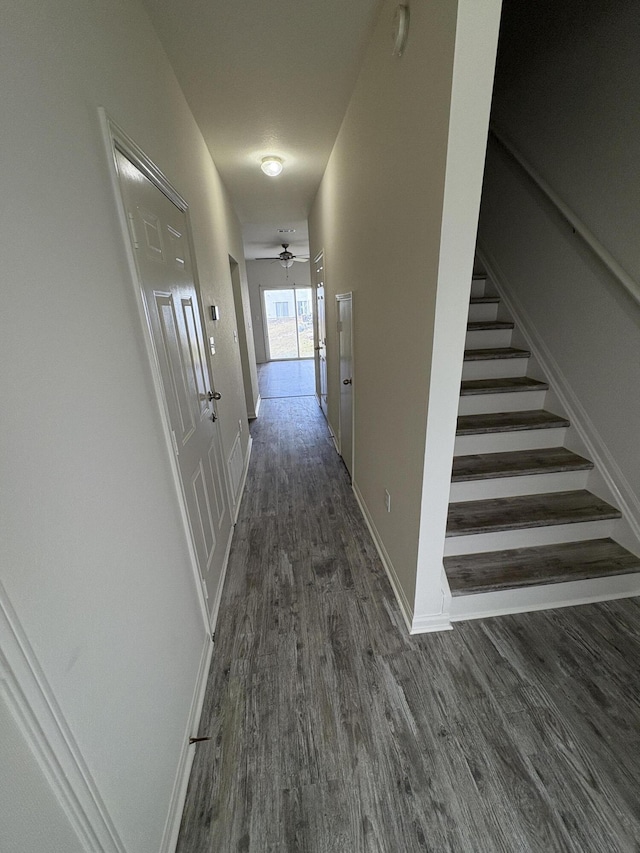 corridor with dark wood-type flooring