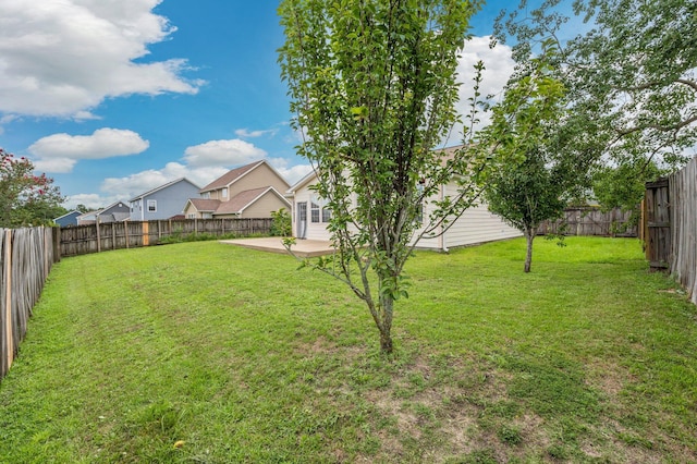 view of yard featuring a patio