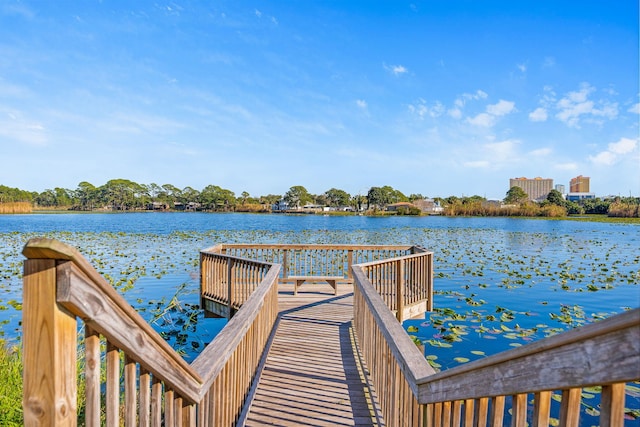 dock area with a water view