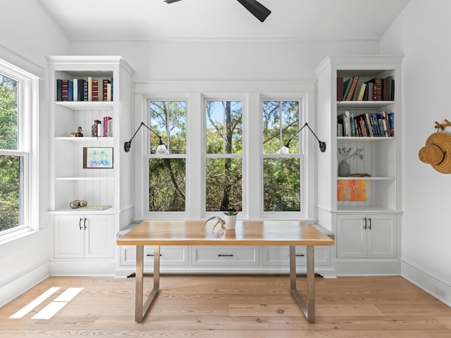 107 E Bermuda Dr, Santa Rosa Beach, FL 32459 - office area with light wood-style floors and ceiling fan