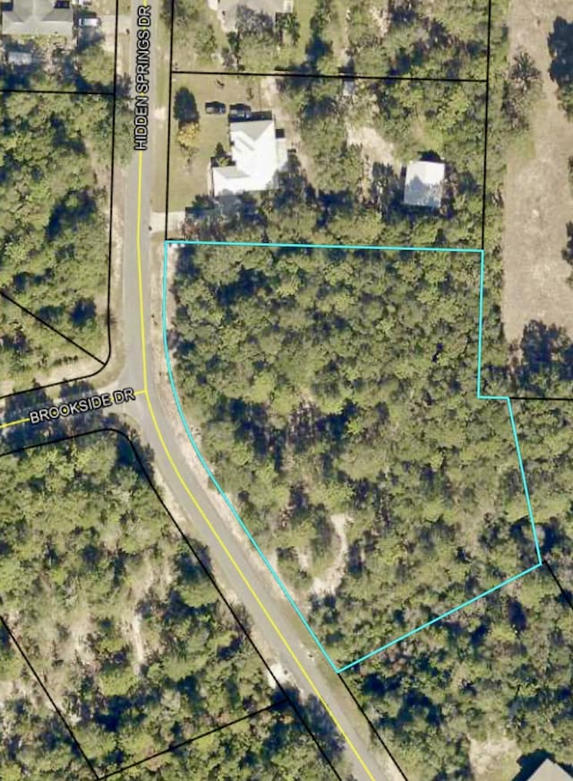 1909 Hidden Springs Dr, Baker, FL 32531 - photo 3