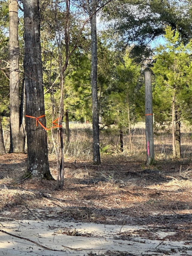 1909 Hidden Springs Dr, Baker, FL 32531
