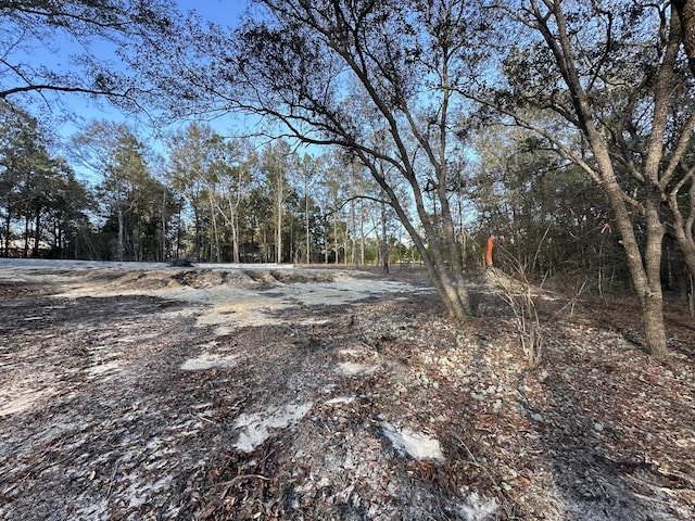 1909 Hidden Springs Dr, Baker, FL 32531