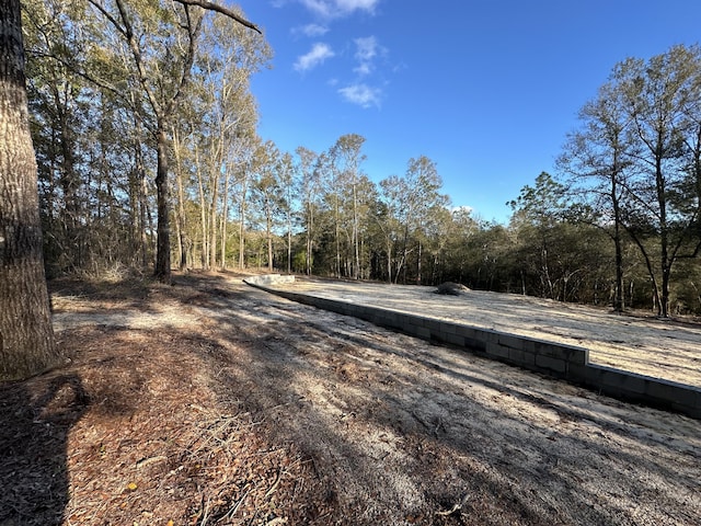 1909 Hidden Springs Dr, Baker, FL 32531
