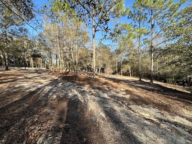 1909 Hidden Springs Dr, Baker, FL 32531