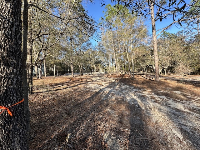 1909 Hidden Springs Dr, Baker, FL 32531