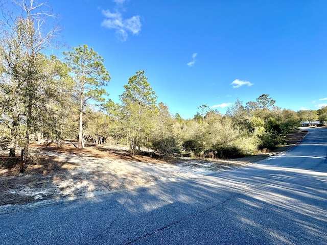 1909 Hidden Springs Dr, Baker, FL 32531 - photo 19