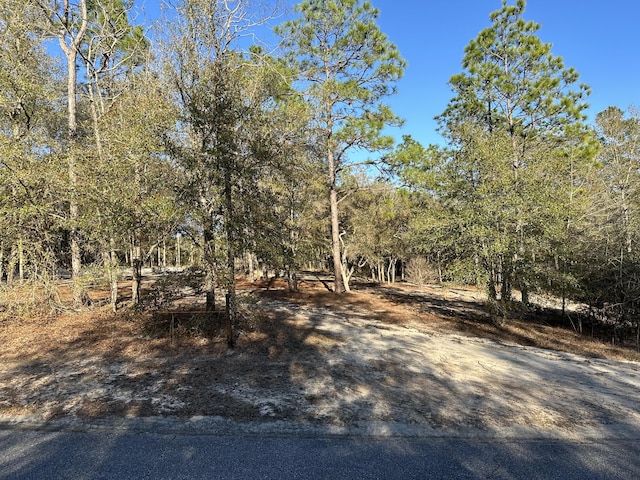 1909 Hidden Springs Dr, Baker, FL 32531