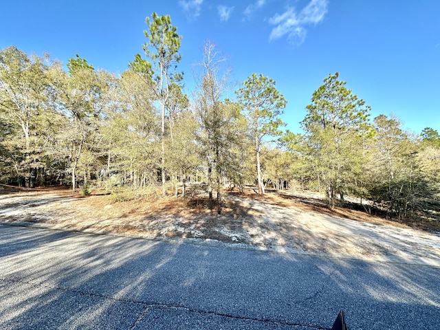 1909 Hidden Springs Dr, Baker, FL 32531