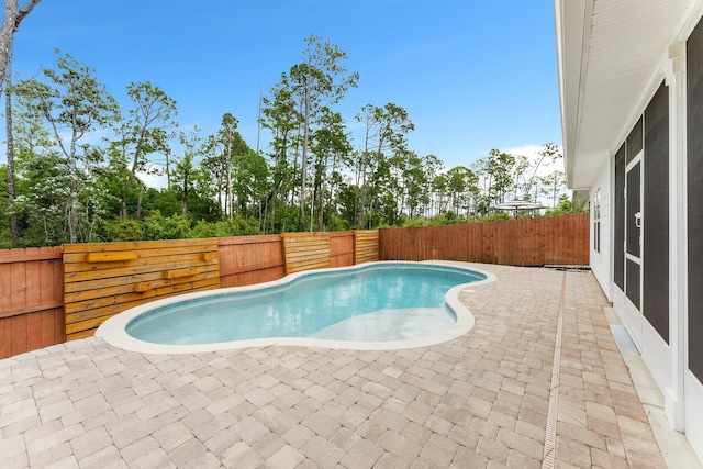 view of swimming pool with a patio area