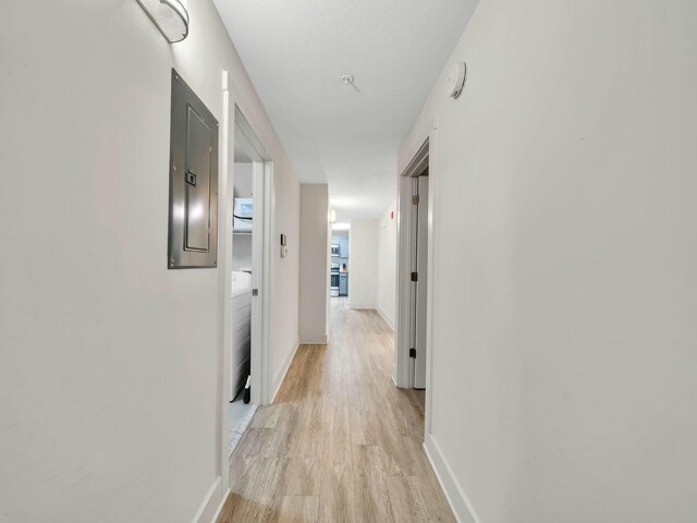 hallway with electric panel and light hardwood / wood-style flooring