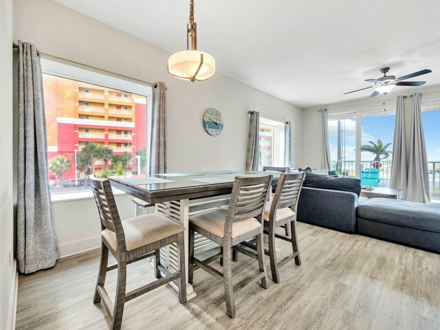 dining room featuring ceiling fan, a healthy amount of sunlight, and light wood-type flooring