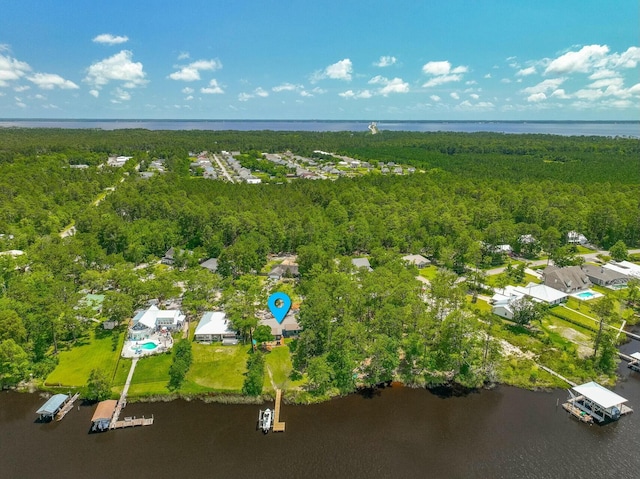 drone / aerial view with a water view and a view of trees