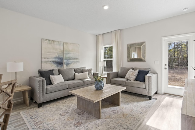 living room featuring light wood-type flooring