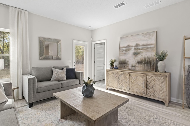 living room featuring light hardwood / wood-style flooring