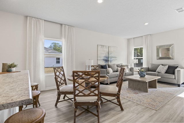 living room featuring a healthy amount of sunlight and light hardwood / wood-style floors