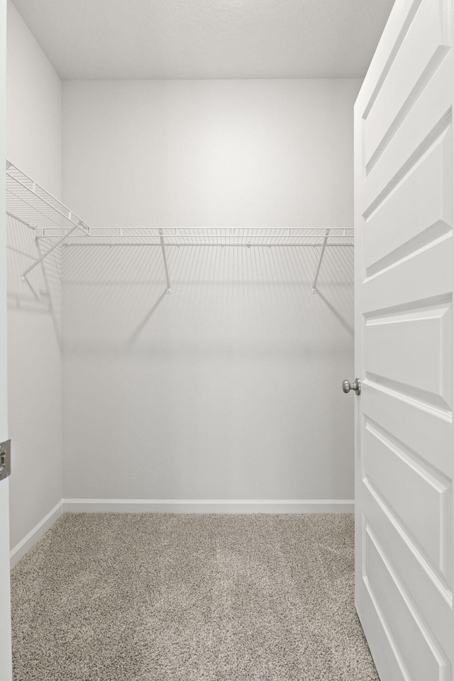 spacious closet with carpet