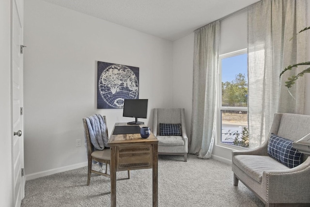 home office featuring carpet floors and plenty of natural light