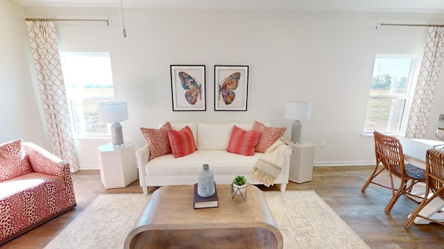 living room with hardwood / wood-style flooring