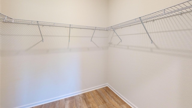 walk in closet featuring wood-type flooring