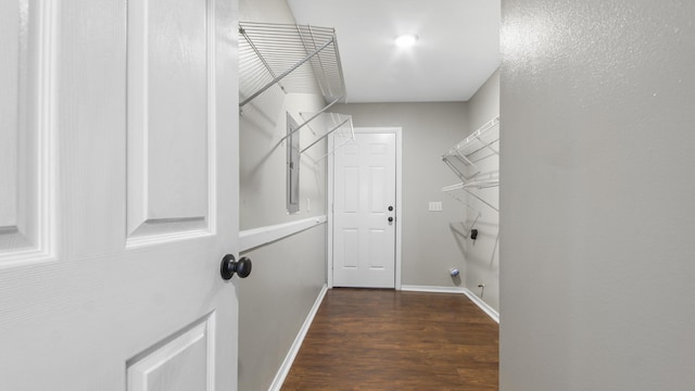 walk in closet featuring dark hardwood / wood-style floors