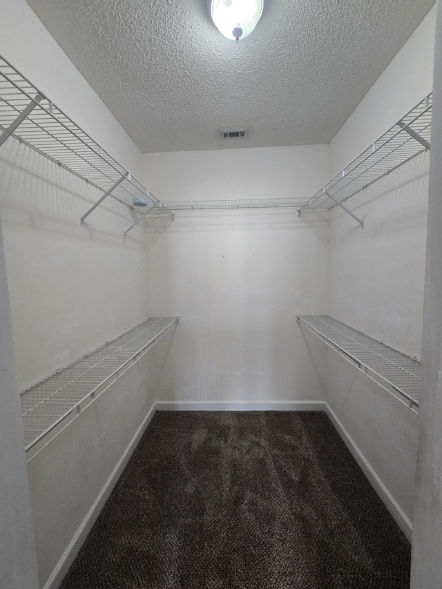 walk in closet with carpet flooring