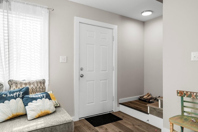 interior space featuring a healthy amount of sunlight and dark hardwood / wood-style flooring