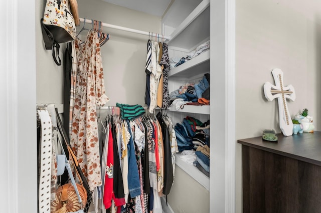 view of spacious closet