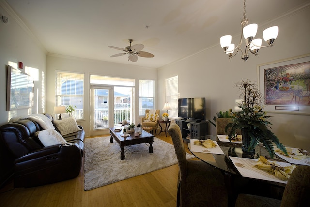 living room featuring ceiling fan with notable chandelier, hardwood / wood-style flooring, and crown molding