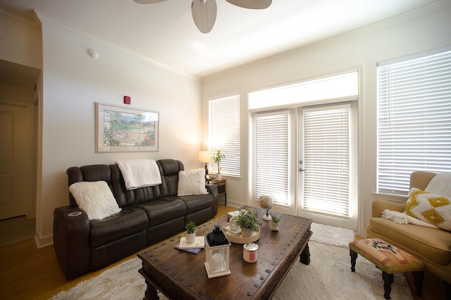 living room with wood-type flooring, ceiling fan, and crown molding