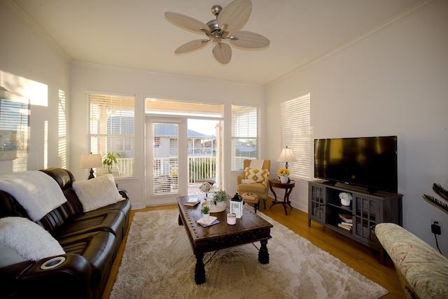 living room with ceiling fan, light wood-type flooring, and ornamental molding