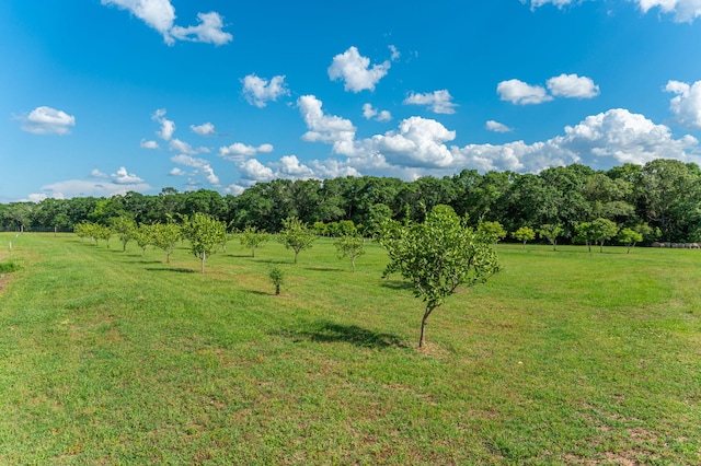 view of local wilderness featuring a rural view