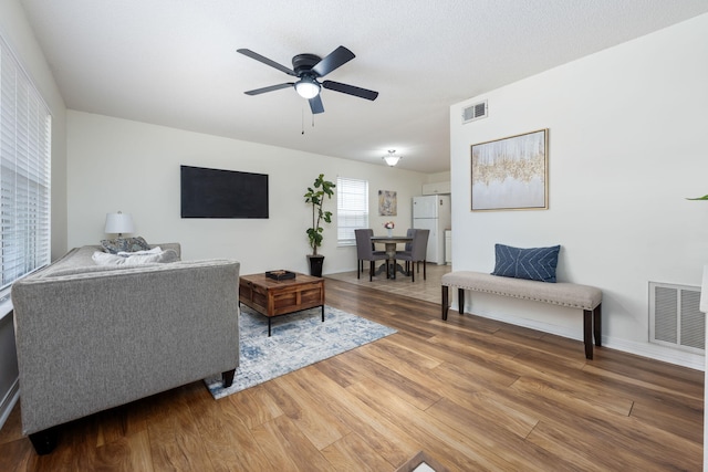 living room featuring ceiling fan and wood-type flooring