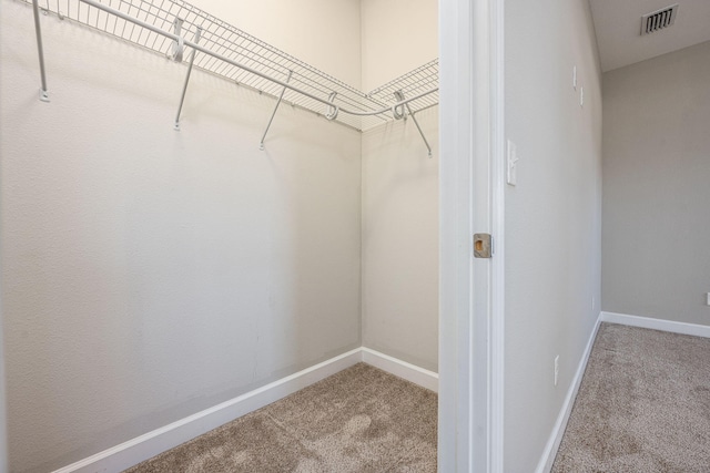 spacious closet featuring carpet