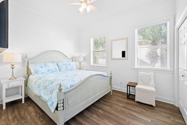 bedroom with multiple windows, a closet, and ceiling fan